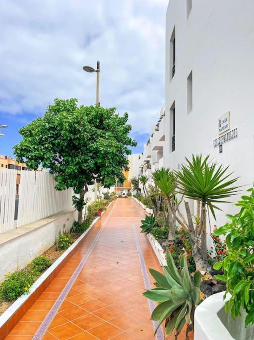 Oceano Azul Luminoso 50 Metros Del Mar En Centro Lägenhet Corralejo Exteriör bild